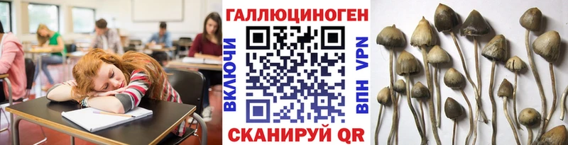 купить кракен зеркало Псилоцибиновые грибы прущие грибы Болохово