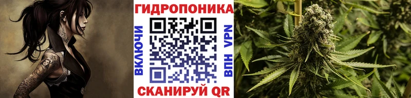 Конопля AK-47  где найти наркотики  Болохово 